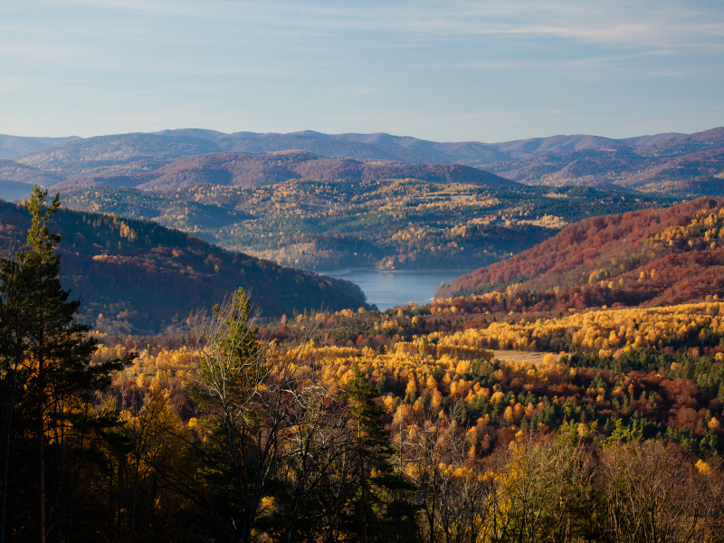 Der Naturlehrpfad Durch Żuków bis zu der Region Lipecka